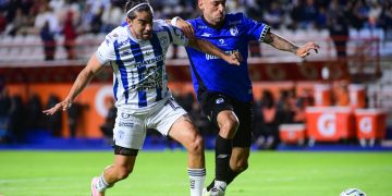 gallos