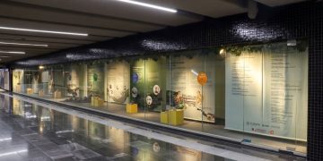 Llega al Metro CDMX una exposición con las pelotas más antiguas de América