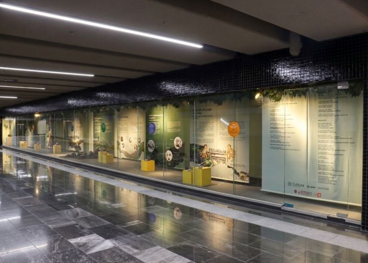 Llega al Metro CDMX una exposición con las pelotas más antiguas de América