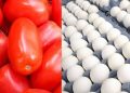 La inflación en México baja a 3.37% en junio de 2026; Jitomate y huevo los productos que más bajan