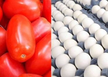 La inflación en México baja a 3.37% en junio de 2026; Jitomate y huevo los productos que más bajan