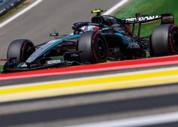 kimi