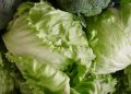 EU investiga brote de diarrea relacionado con lechuga