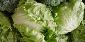 EU investiga brote de diarrea relacionado con lechuga
