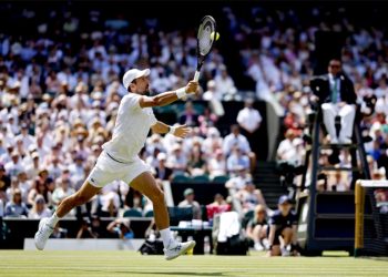 novak