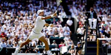 novak