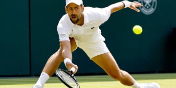 novak
