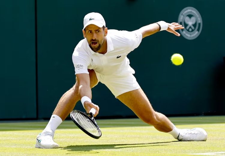 novak