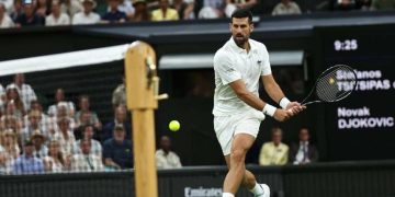 novak