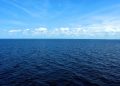 Cambio climático pone en riesgo la biodiversidad marina y eleva el nivel del mar