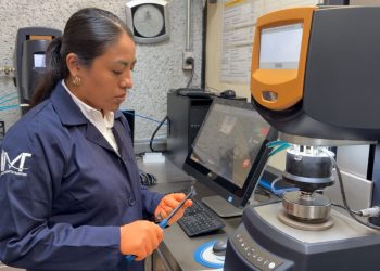 México impulsa el uso del sargazo para fabricar asfalto y materiales de construcción