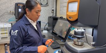 México impulsa el uso del sargazo para fabricar asfalto y materiales de construcción