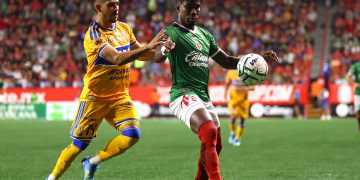 xolos