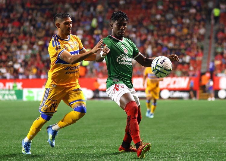 xolos