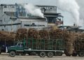 Ingenios de Veracruz piden que se combata el ingreso de azúcar de Guatemala, que entra de contrabando al país