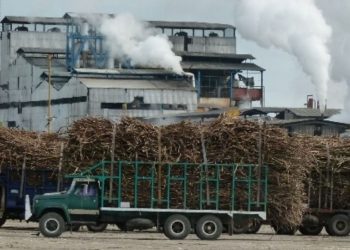 Ingenios de Veracruz piden que se combata el ingreso de azúcar de Guatemala, que entra de contrabando al país
