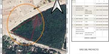 Construye Sedena nueva unidad habitacional en Chetumal, sin permisos ambientales