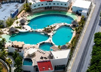 Lanzan petición para rescatar a delfines de Ventura Park