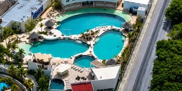 Lanzan petición para rescatar a delfines de Ventura Park