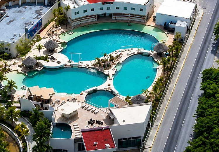 Lanzan petición para rescatar a delfines de Ventura Park