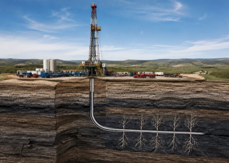 "No queremos fracking ni aquí, ni allá, ni nunca": Alejandra Jiménez
