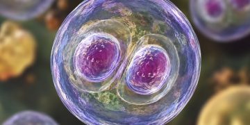 México descarta presencia del parásito Cyclospora en 16 hoteles de la Riviera Maya