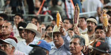 Sheinbaum lanza “El Maíz es la Raíz” en Oaxaca