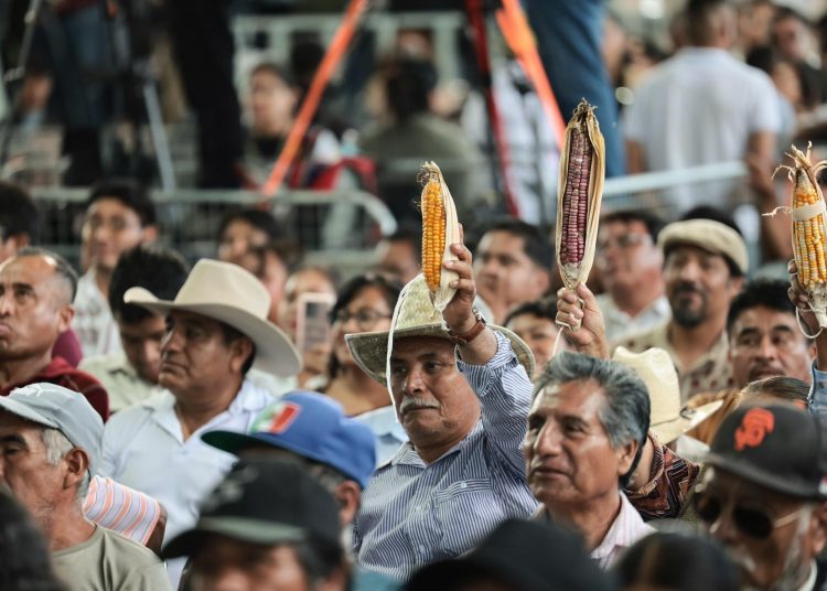 Sheinbaum lanza “El Maíz es la Raíz” en Oaxaca