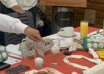 Avicultores llaman a consumir huevo mexicano ante aumento de importaciones desde EU