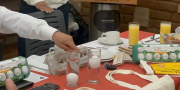 Avicultores llaman a consumir huevo mexicano ante aumento de importaciones desde EU