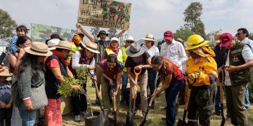 Clara Brugada encabeza plantación de 35 mil árboles en CDMX