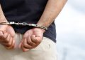 Detienen a mexicano en Japón por contrabando de lagartos escondidos en calcetines