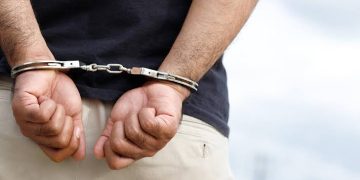 Detienen a mexicano en Japón por contrabando de lagartos escondidos en calcetines