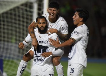 pumas