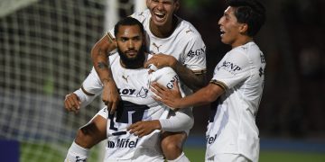 pumas