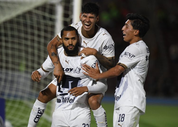 pumas