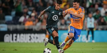 tigres
