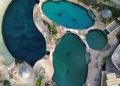 ¿Cuál es la situación de los 9 delfines de Ventura Park?
