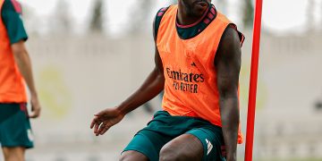 vini